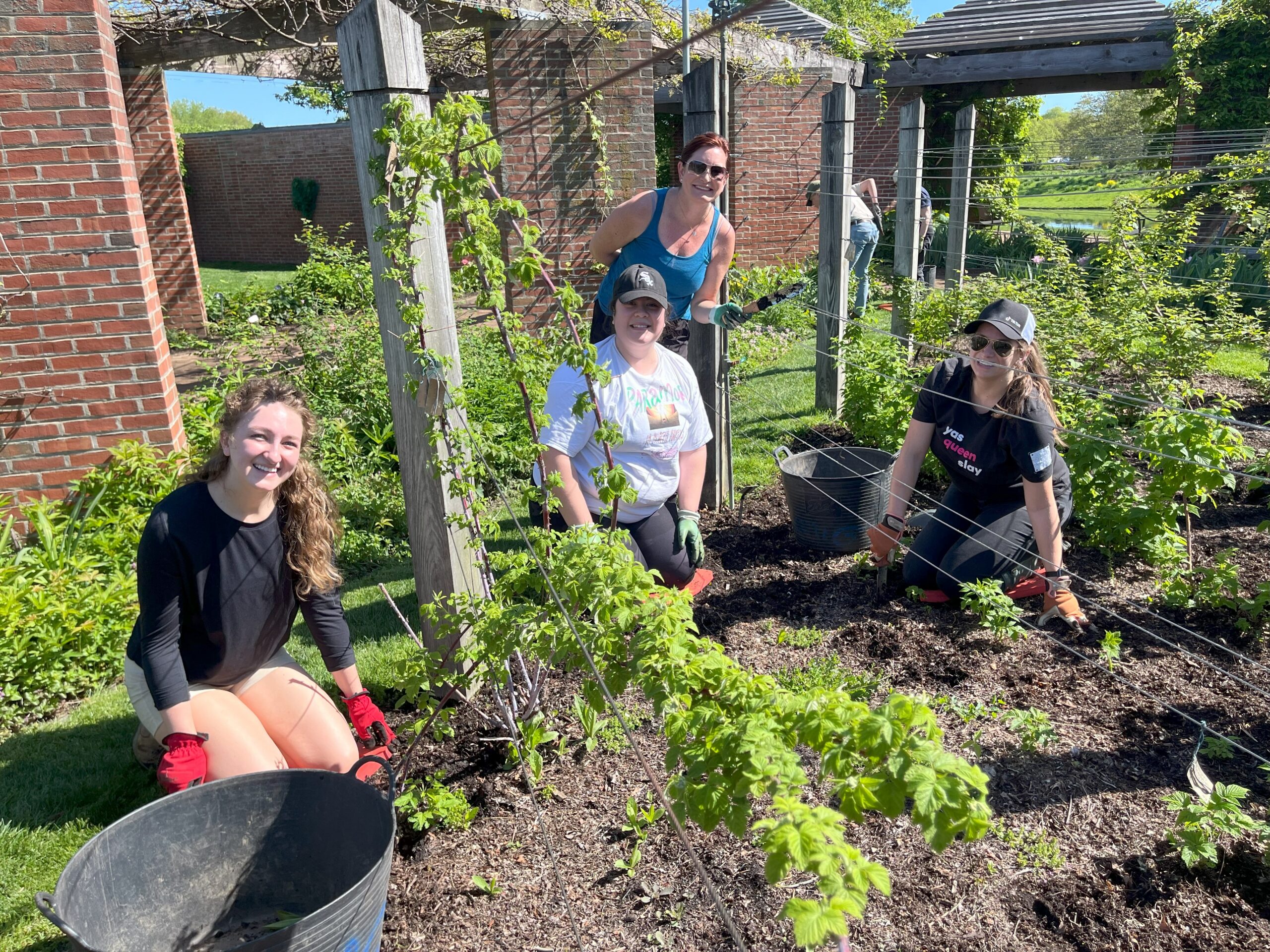 Team volunteering at a botanic garden